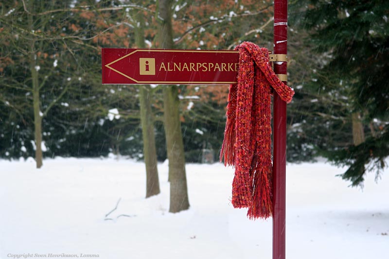 Lite data om bilden:
Plats: Alnarpsparken
Datum: 2005-12-31
Utrustning: Canon EOS 350D + EF 28-135
Alnarpsparken