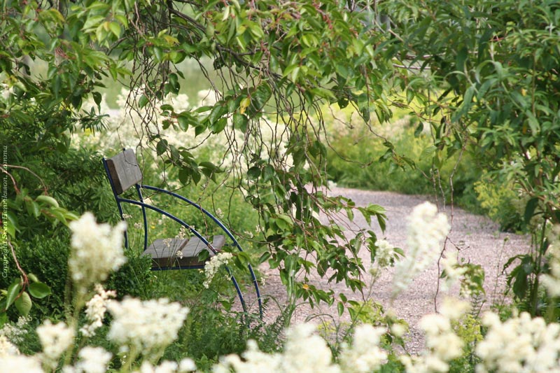 Lite data om bilden:
Plats: Alnarp
Datum: 2006-06-24
Utrustning: Canon EOS 350D + EF 28-135
Data: f 5,6 1/400 s
Alnarp