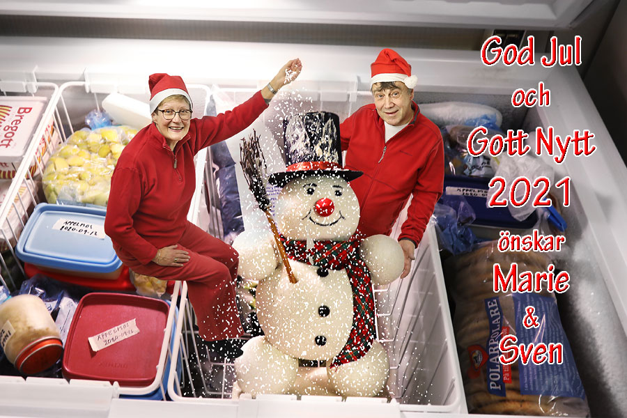 Julkort 2020