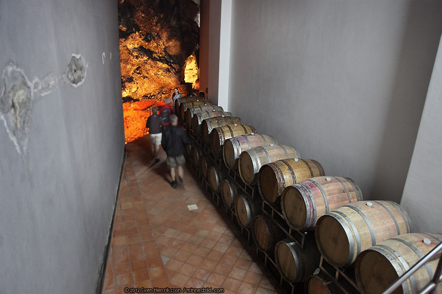 Sicilien Ving�rd Patria